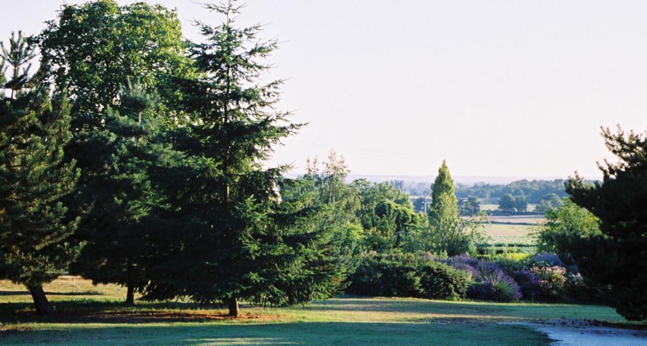 Le Logis Du Pressoir Chambre D'Hotes Bed & Breakfast In Beautiful 18Th Century Estate In The Heart Of The Loire Valley With Heated Pool And Extensive Grounds Bed and Breakfast Les Bois-d'Anjou Exterior foto